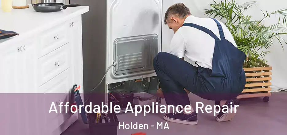 Affordable Appliance Repair Holden - MA
