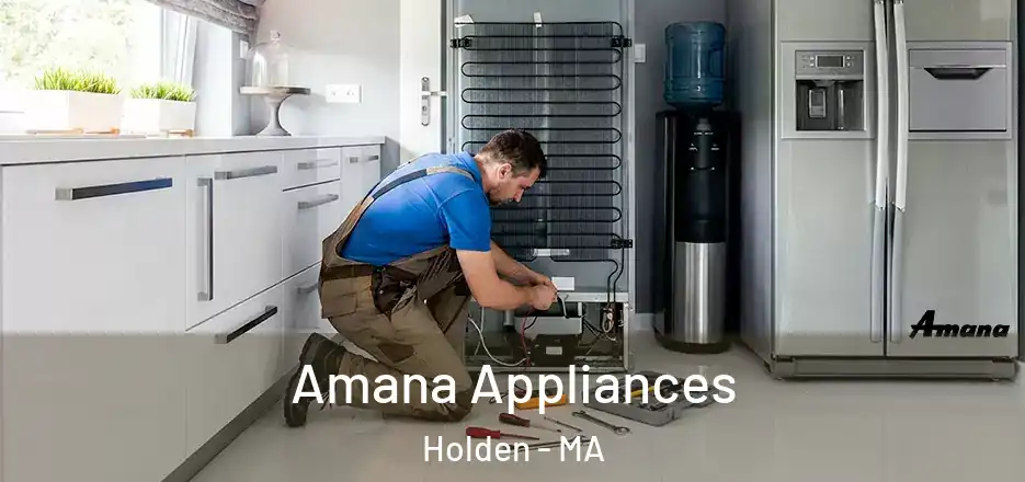  Amana Appliances Holden - MA