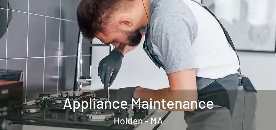  Appliance Maintenance Holden - MA