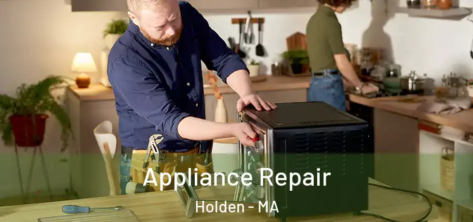  Appliance Repair Holden - MA