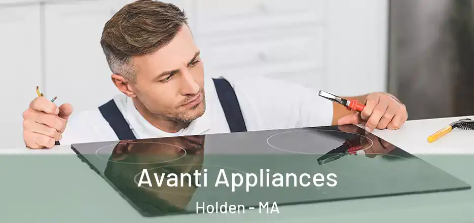  Avanti Appliances Holden - MA