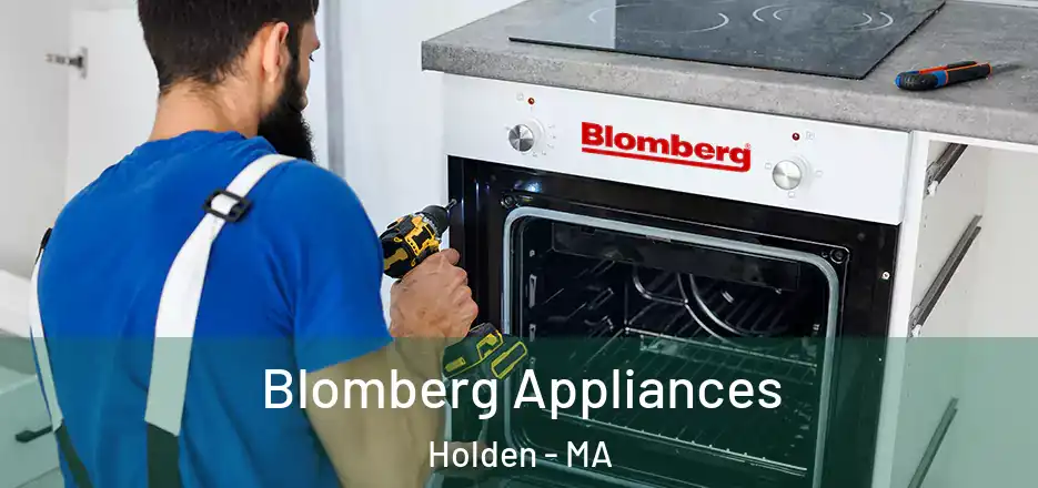  Blomberg Appliances Holden - MA