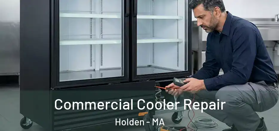 Commercial Cooler Repair Holden - MA