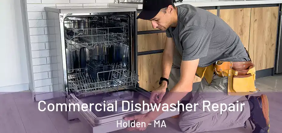  Commercial Dishwasher Repair Holden - MA