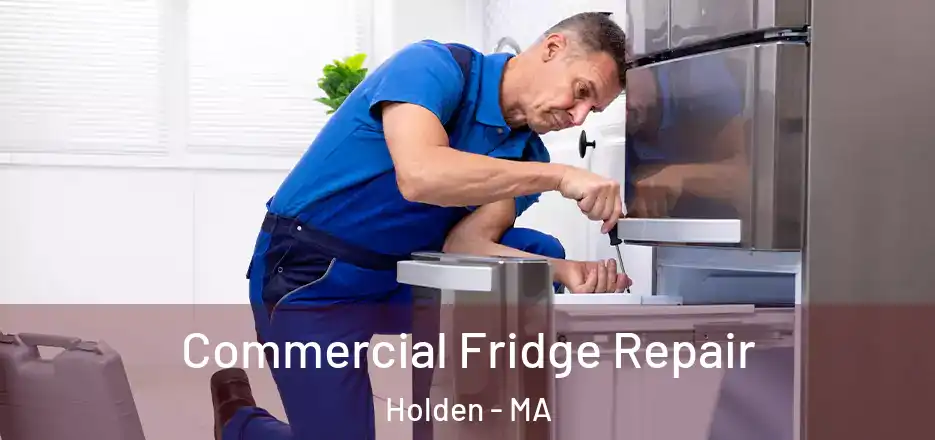 Commercial Fridge Repair Holden - MA