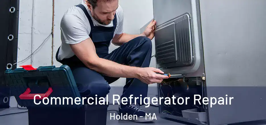  Commercial Refrigerator Repair Holden - MA