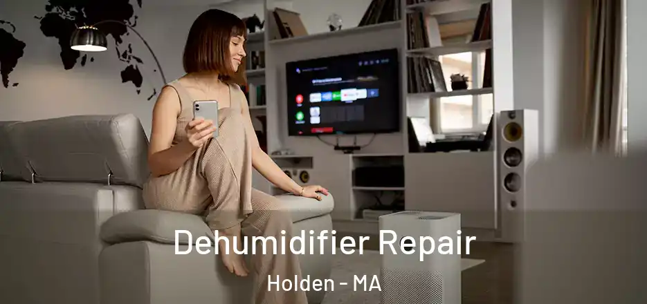  Dehumidifier Repair Holden - MA