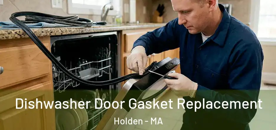 Dishwasher Door Gasket Replacement Holden - MA