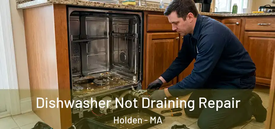 Dishwasher Not Draining Repair Holden - MA