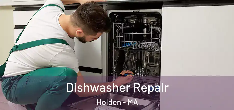  Dishwasher Repair Holden - MA