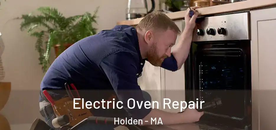  Electric Oven Repair Holden - MA