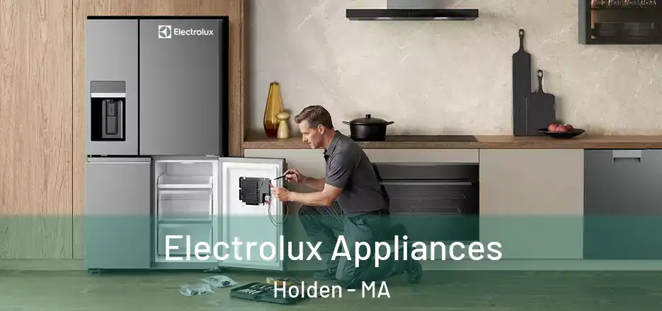 Electrolux Appliances Holden - MA