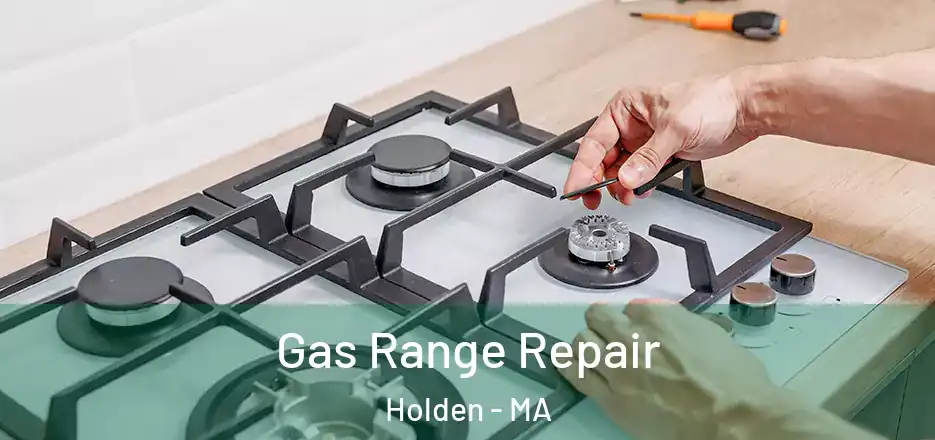  Gas Range Repair Holden - MA