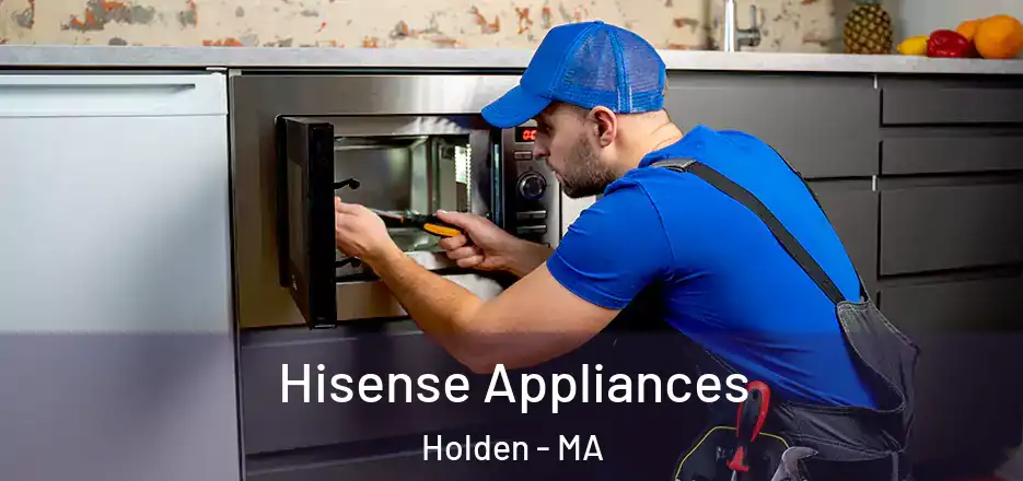  Hisense Appliances Holden - MA