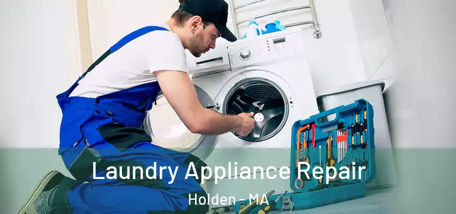 Laundry Appliance Repair Holden - MA