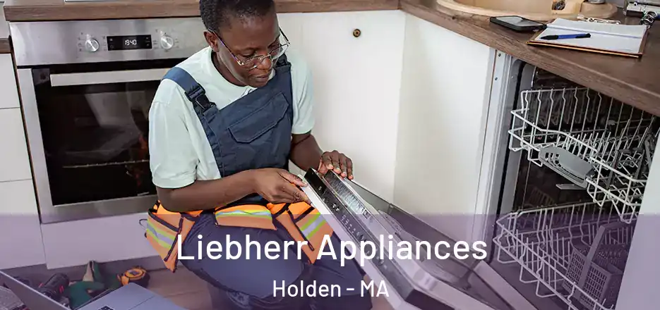  Liebherr Appliances Holden - MA