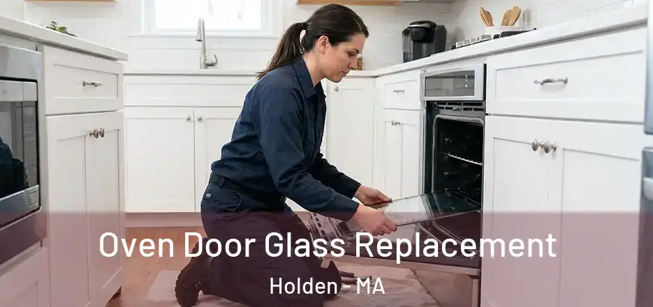 Oven Door Glass Replacement Holden - MA