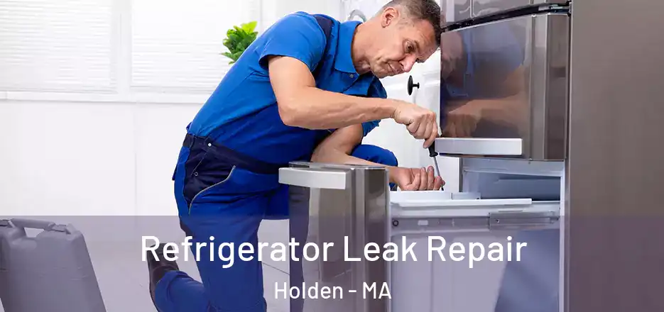  Refrigerator Leak Repair Holden - MA