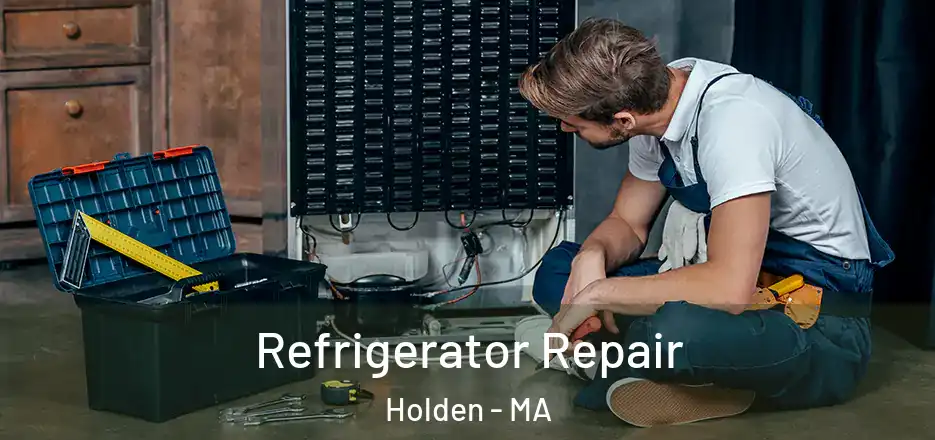  Refrigerator Repair Holden - MA