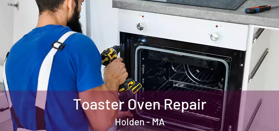 Toaster Oven Repair Holden - MA