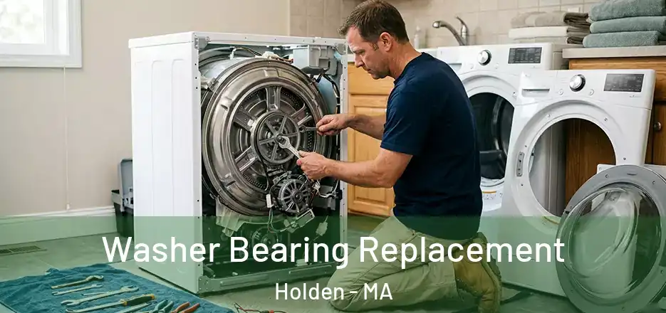  Washer Bearing Replacement Holden - MA