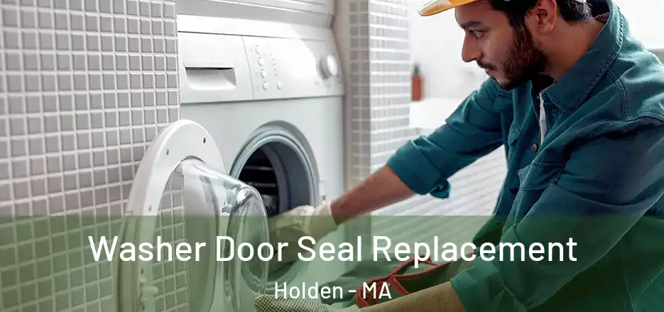  Washer Door Seal Replacement Holden - MA